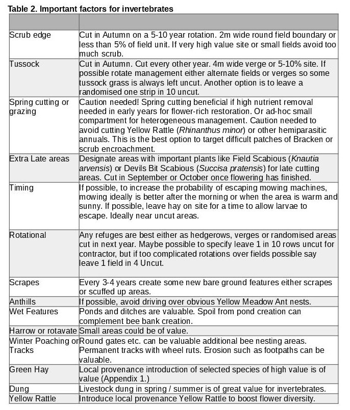Vipers bugloss, White clover and Birdsfoot trefoil in very lazy garden